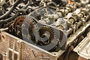 Car Engine Timing Chain Symbol