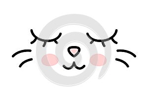 Car Face with Pink Cheeks and Cute Nose. Sleeping Kitty