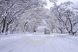 Car and falling snow in winter on forest road with much snow