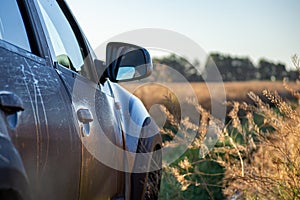 Car in the field in summer sunrise