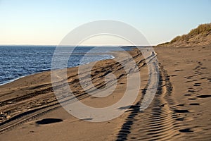 Car footprint on a wild beach. Summer sand beach background. Adventure tourism.