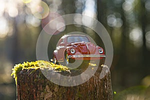 Car in the Forest, Auto im Wald