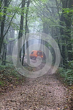 Car on forest road