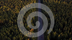 The car goes on a country road along the forest. Beautiful landscape from a height, autumn forest