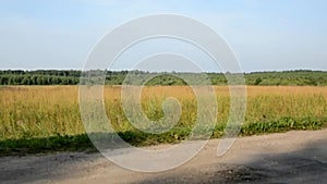 The car goes on the destroyed rural road. Flashed along the fields and forests. Russia