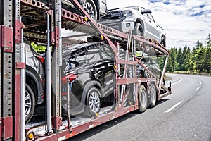 Car hauler big rig semi truck transporting cars on modular semi trailer running on the winding road