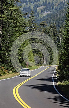 A car on the highway in Rainier National Park.