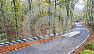 Car lights in a beech forest on the mountain slope in Aralar mountains