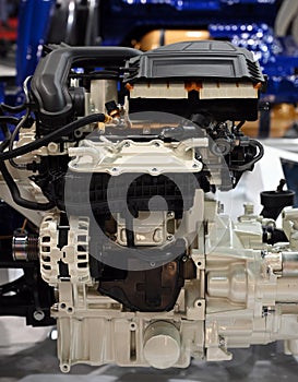 Liquid petrol gas engine