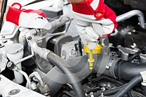 Car maintenance service - mechanic check engine oil level