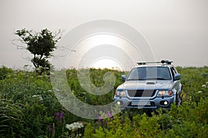 Car in a meadow