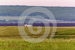 The car moves along the road along the field through