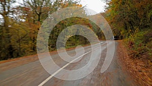 Car Moving In Autumn Forest Along Winding Road