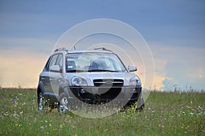 Car and nature