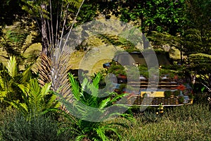 a car overgrown with grass in a tropical forest, surrounded by ferns and trees - 3D Illustration