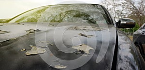 Car paint cracks , Cracked painted metal surface of a red car,Big rust hole on the old car,Damaged rust hole on painted metal