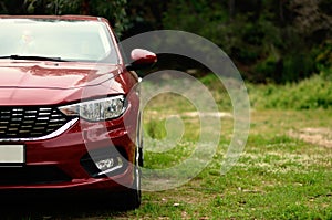 Car parked on the grass