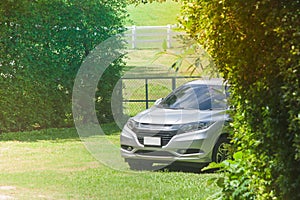 Car parked on green grass surrouned with green trees beside outdoor garden.