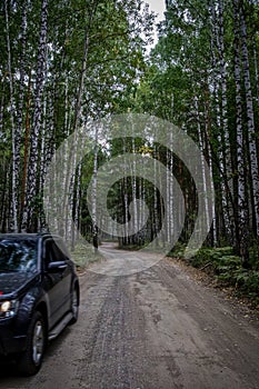 A car is parked on the roadside of a forest road.