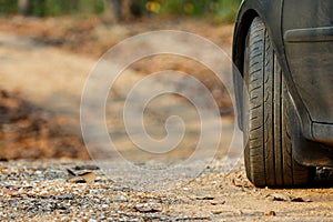 Car parking on the Dirt road /mountain road/country road in Forest.