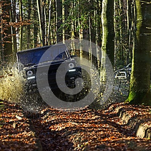 Car racing in autumn forest. SUV or offroad car on path covered with leaves crossing puddle with water splash. Offroad