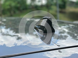 Car radio antenna on roof car