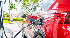 Car refueling on petrol station. Fuel pump with gasoline. Service is filling gas or diesel into tank