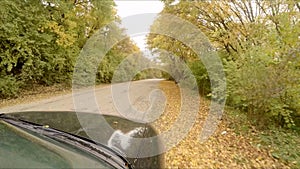 The car rides through the autumn forest