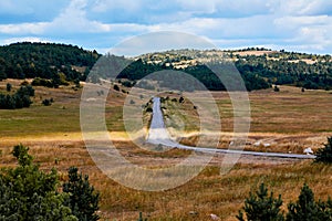 Car riding on winding road. Beautiful mountain landscape. Green forest and nature. New way, adventure travel concept