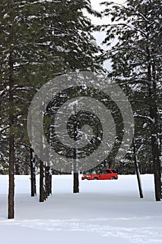 Car riving thru Winter Forest