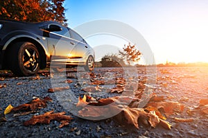 Car on the road with fallen leaves and trees against sky with sunset