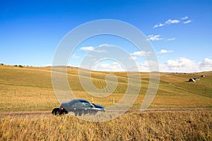 Car on road among meadows