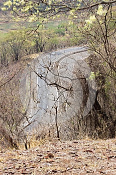 The car and the road