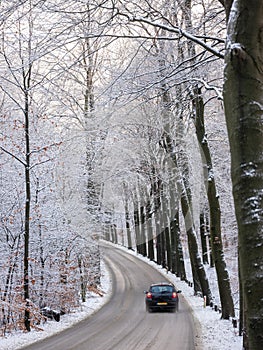 car on road in snow covered winter forest near utrecht in holland