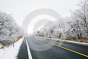 Car road with winter snow at Hallasan mountain 1100 highland in Jeju Island, Korea