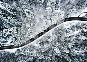 Car on road in winter trough a forest covered with snow