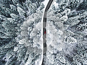 Car on road in winter trough a forest covered with snow