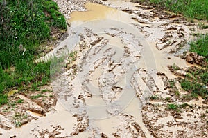 Car ruts in dirty road mud