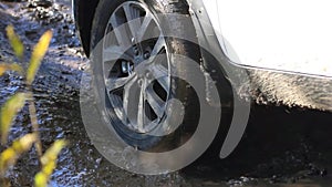 Car's wheels in mud in the forest, off-road. SUV