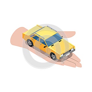 Car Sharing Palm Composition