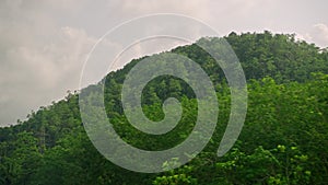 Car side window view of power lines and transmition towers in green rainforest jungle rural area. Electric distribution