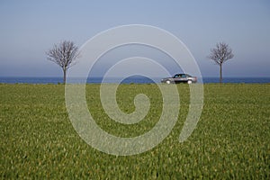 Car in spring landscape