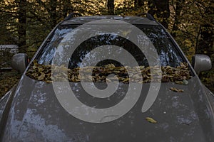 Car standing in a forest covered with fall leaves