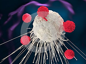 CAR-T cell therapy