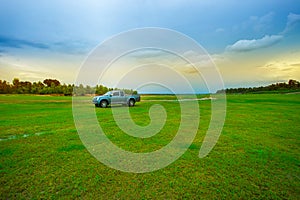 Car, Tire, Collector`s Car, Land Vehicle, Meadow