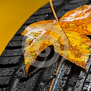 Car tire with Raindrops and autumn leaves on brown background