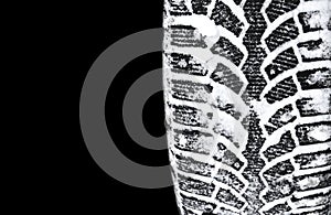 The car tire in the snow close up. Car tracks on the snow. Traces of the car in the snow. Winter tires. Tyres covered with snow at