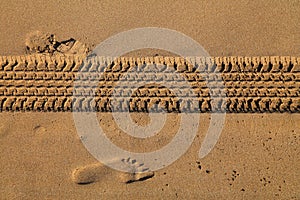 Car tire traces on beach sand in Morocco