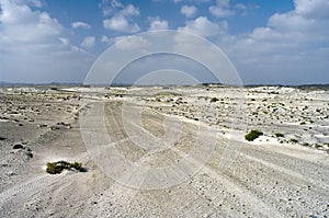 Car tire tracks in the desert