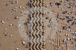 Car tire tracks leading through sand beach background